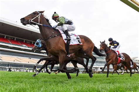 melbourne cup trifecta